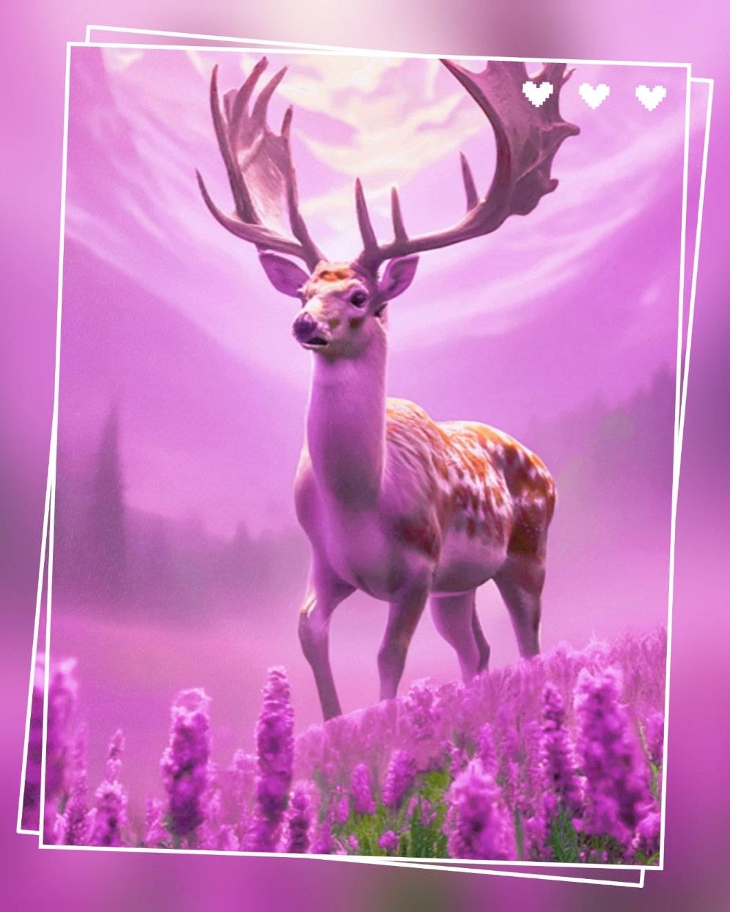 Фиолетовых очков стекло