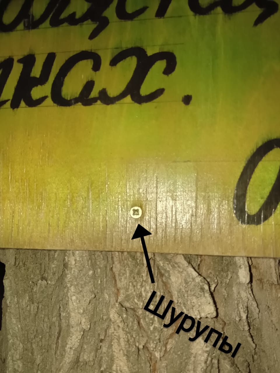 Таблички, прибитые к дереву...