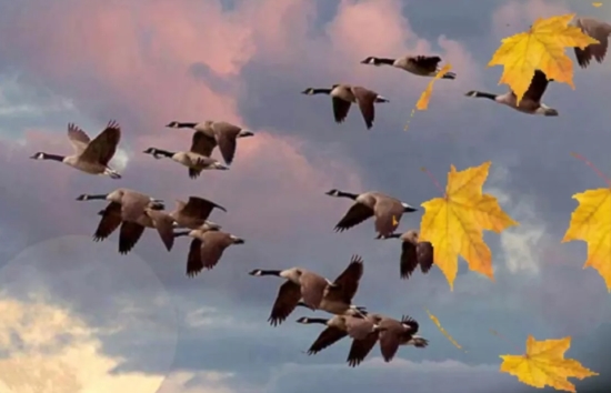 31-е октября