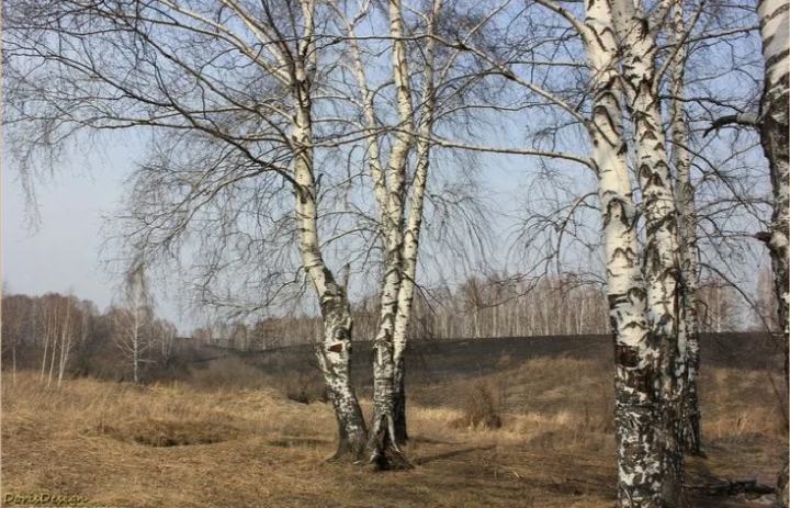 Ну вот и осень на исходе