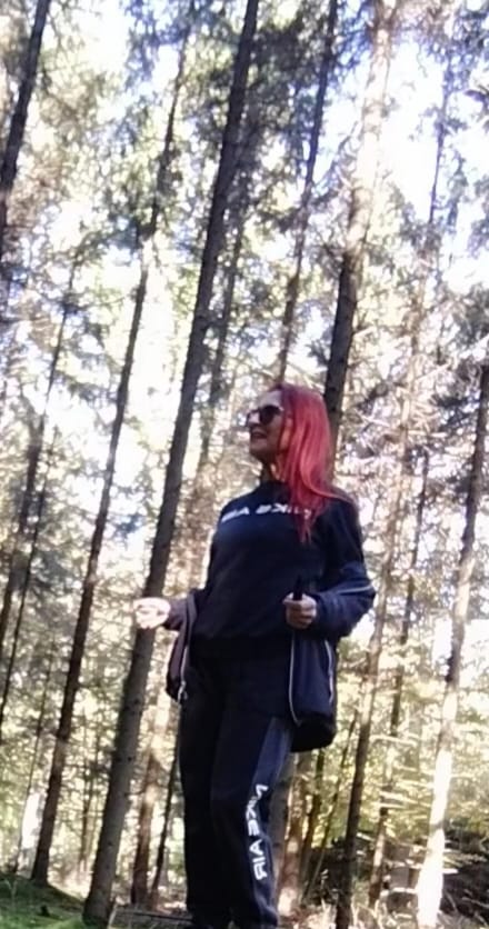 Пестреют на клёне