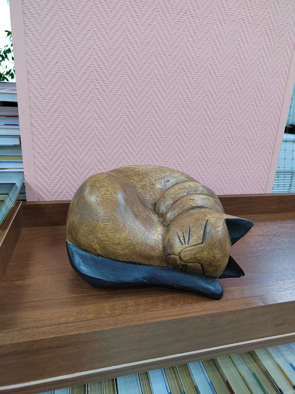 Библиотечный кот