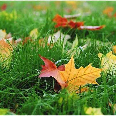 Осенний джаз