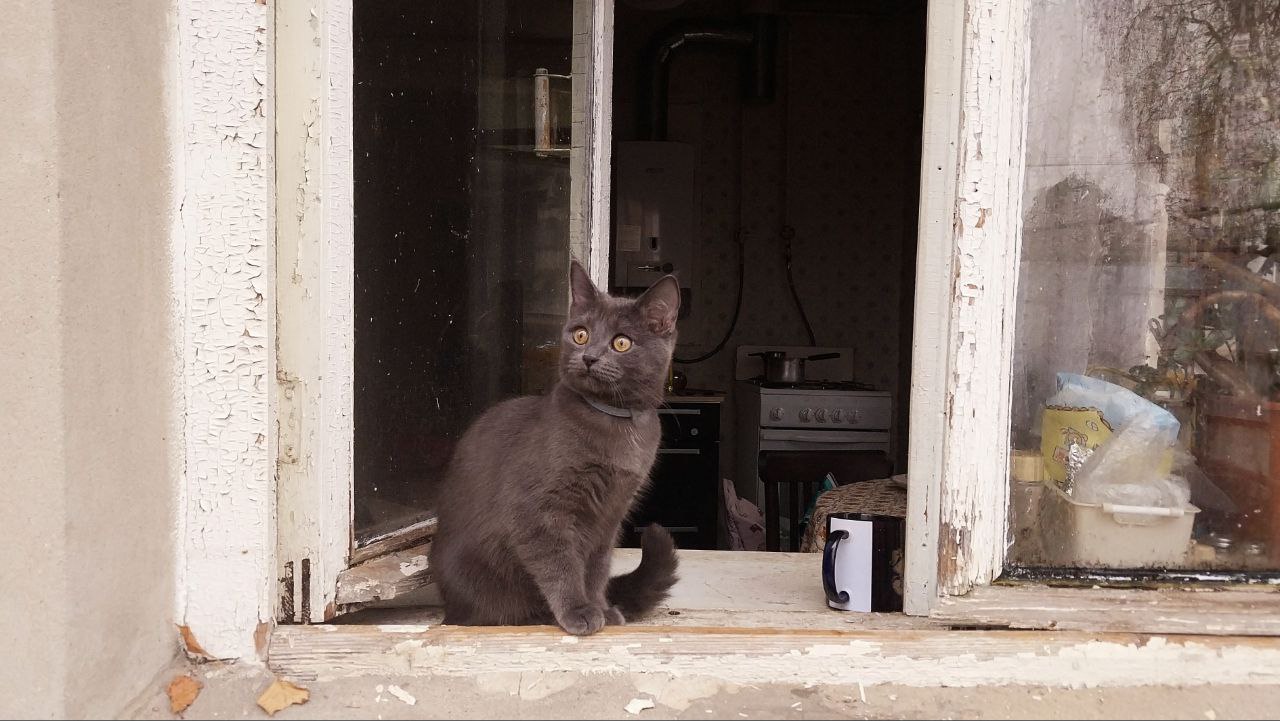 Зарисовка в моменте 1