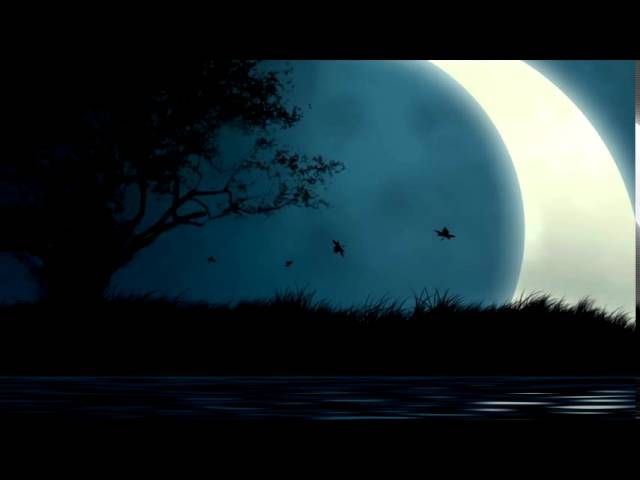 Ночные звуки