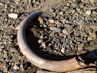 На ишимских перекатах