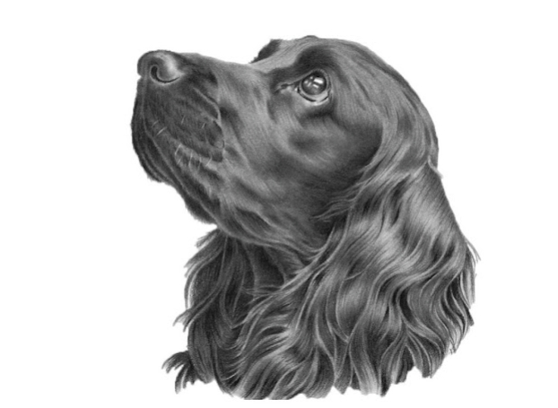 Какими бывают ангелы