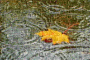 Октябрь прощается с утра