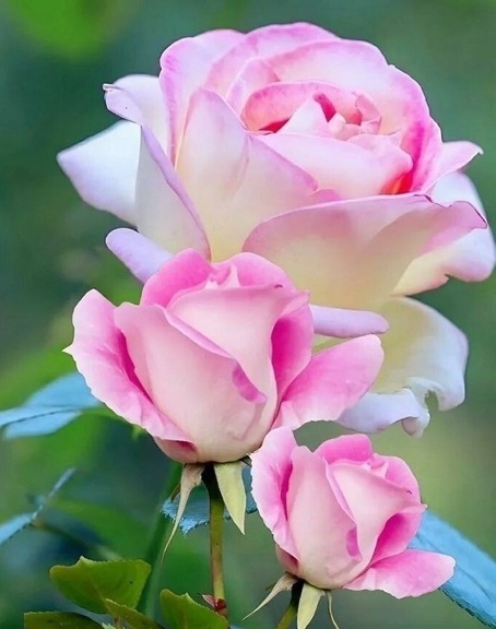 Подарки моих друзей 39