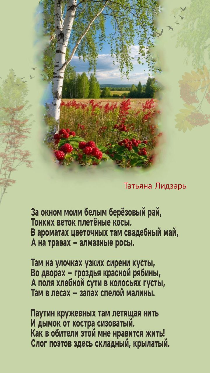 За окном моим белым - берёзовый рай