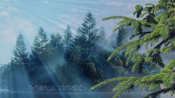 Я верю в тебя