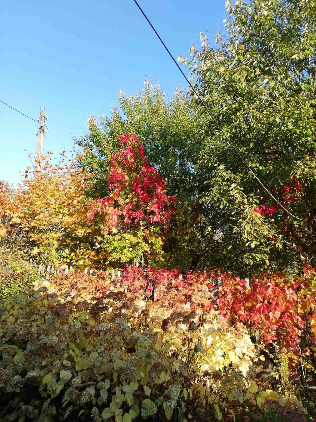 Рецензия на Октябрь сердце осени