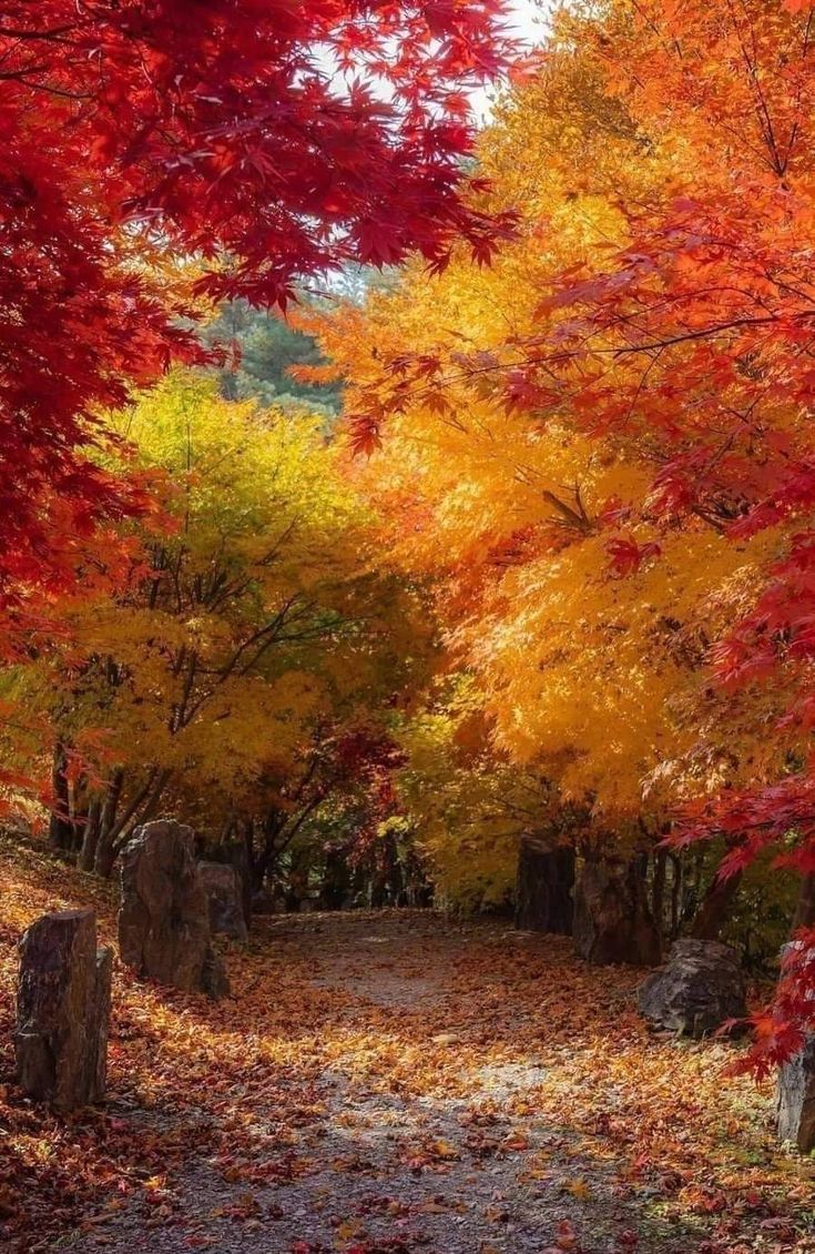 Волшебница осень