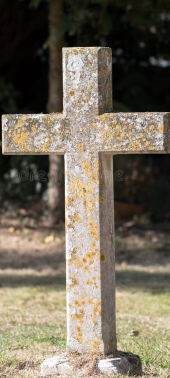 Не бросайте свои кресты