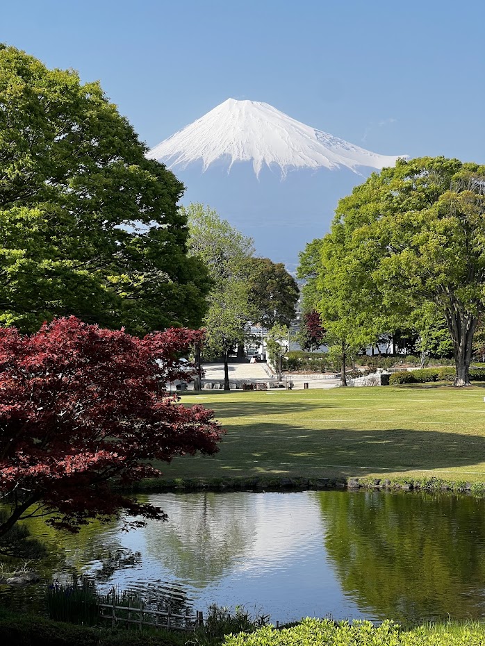 Молчание Фудзи