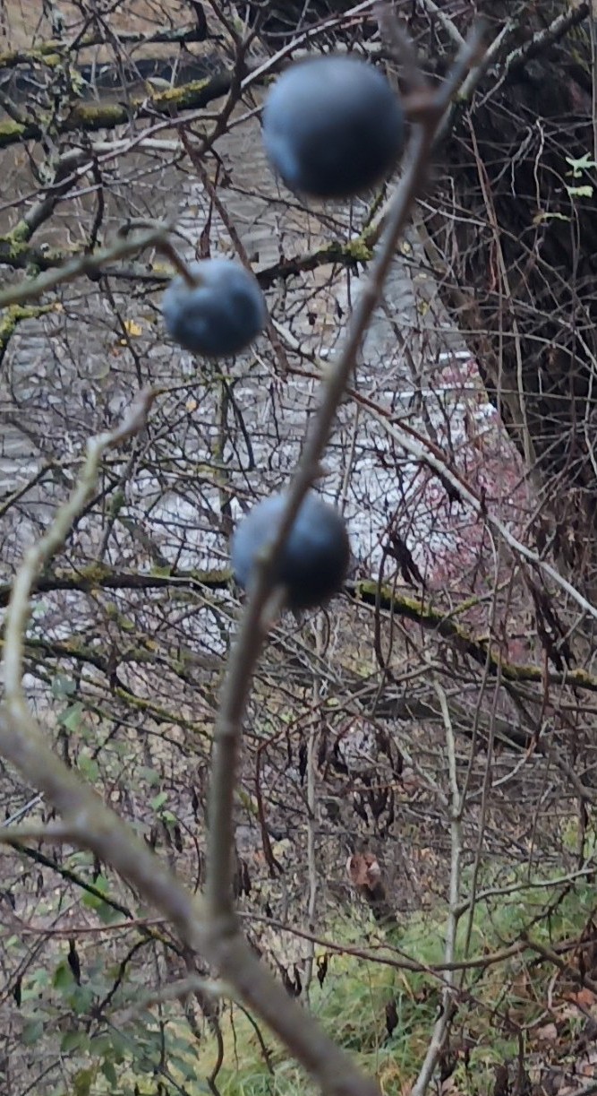 Что-то в Африку мне расхотелося