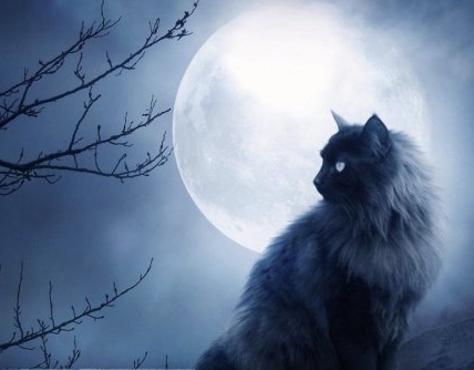 Не улыбчива погода...