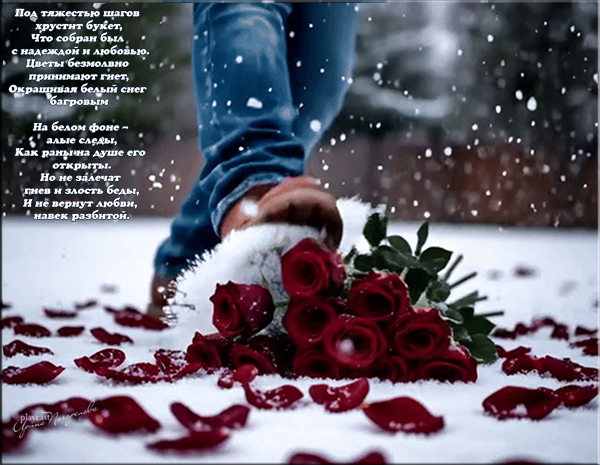 Растоптанные розы