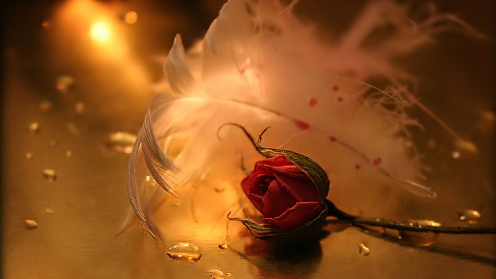 Хрустальные слёзы