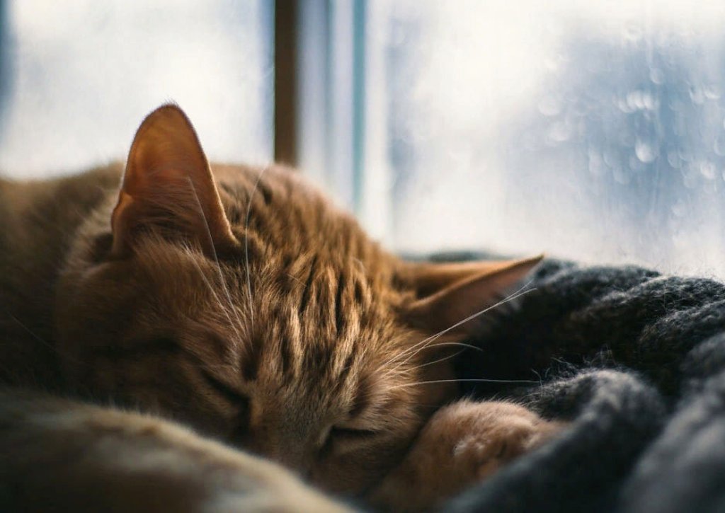 Устал бесконечно вести переписку...