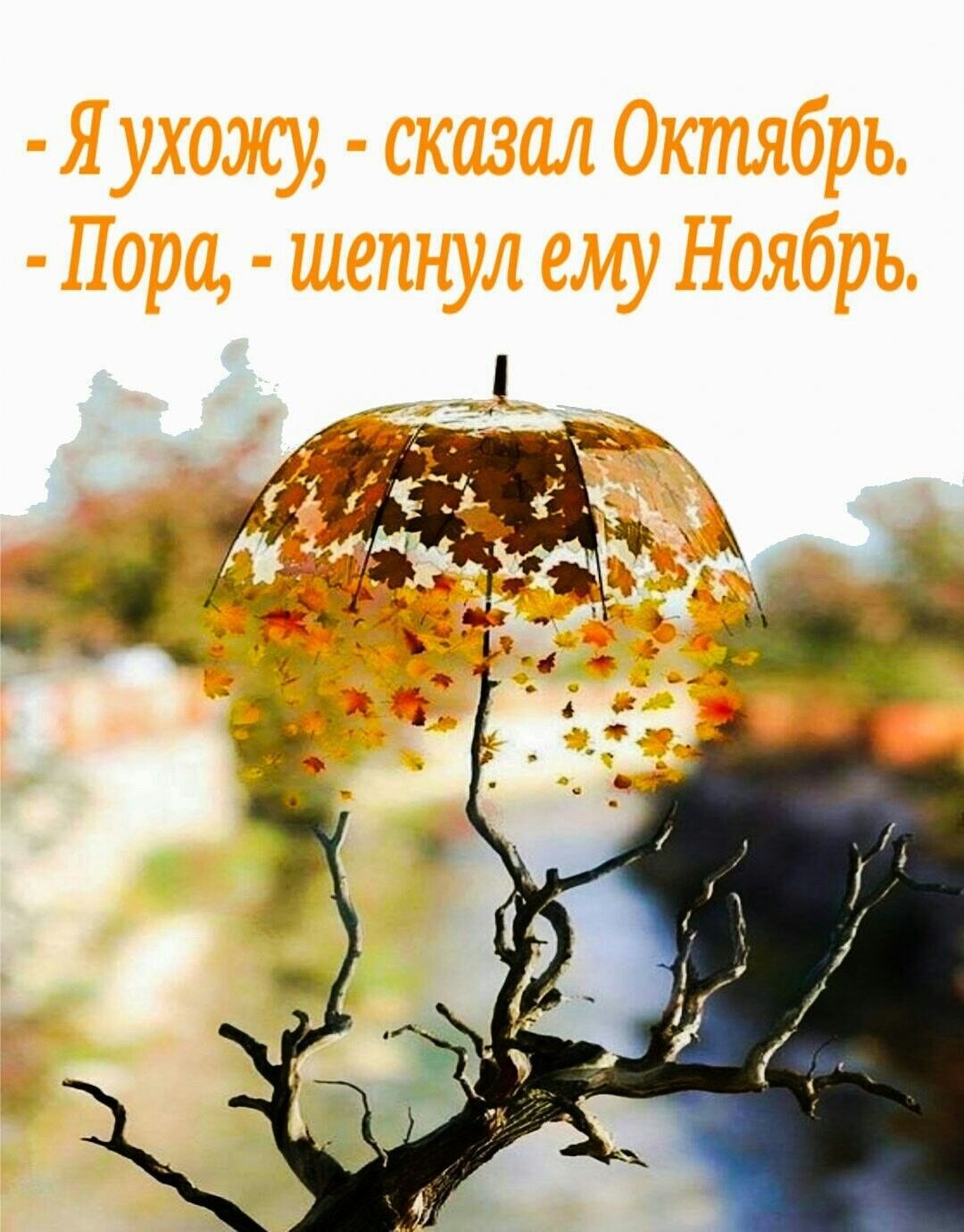 Вы не грустите обо мне, друзья