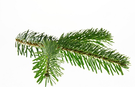 Про Велесову ночь