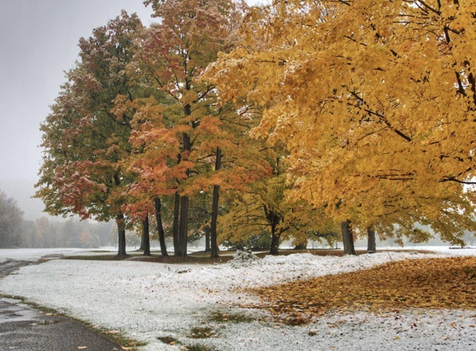Кто о чем, я о погоде