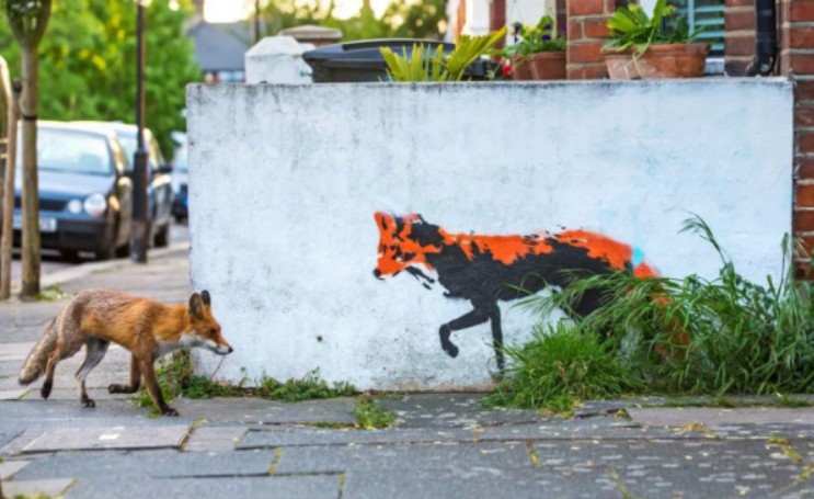 Лисье сретенье