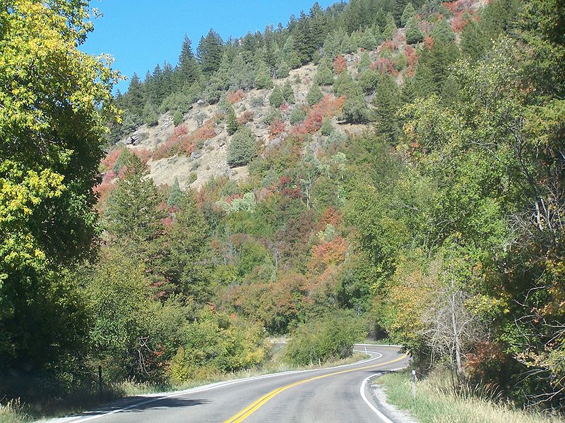 Из Джека Керуака - Хор 64 из Блюзов Мехико-Сити