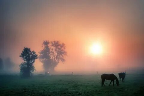 Ты же дождик