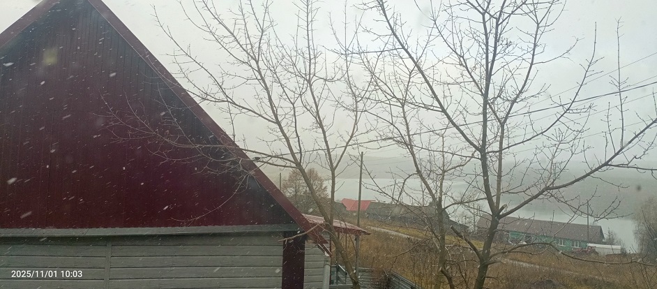 Первый снег, как Зимы приговор