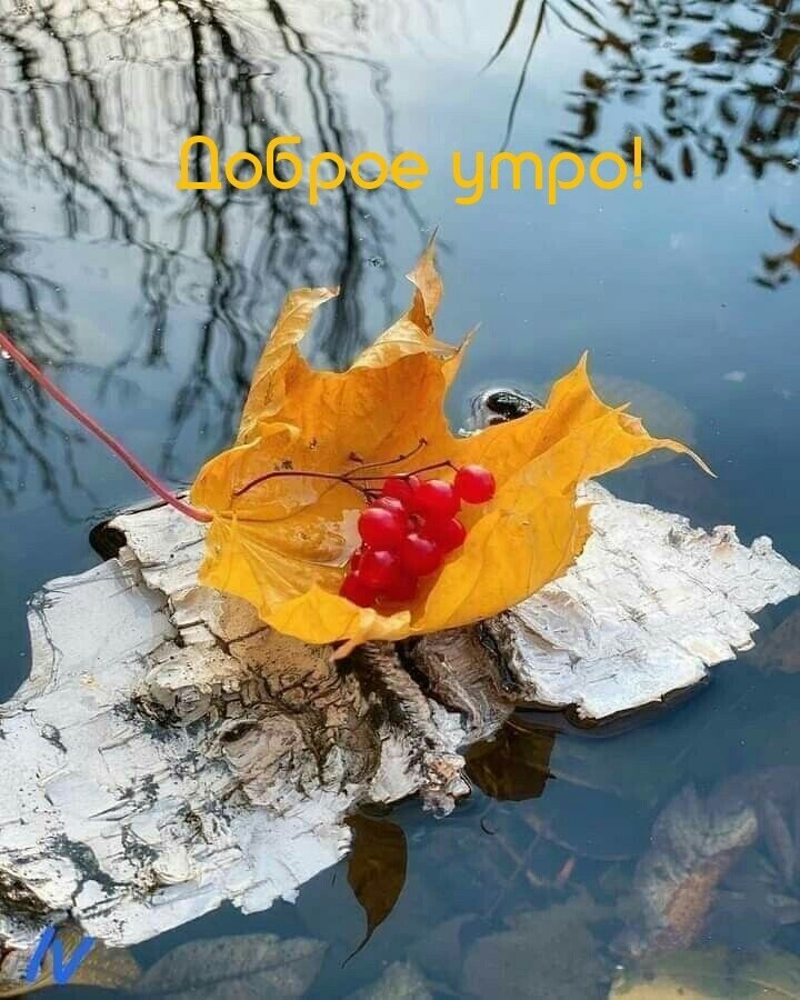 Пока, Октябрь!