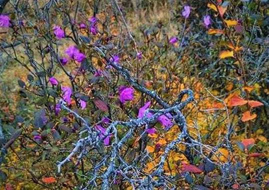 Начало ноября