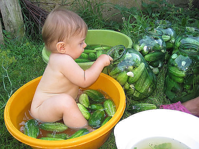 Вкусные огурчики