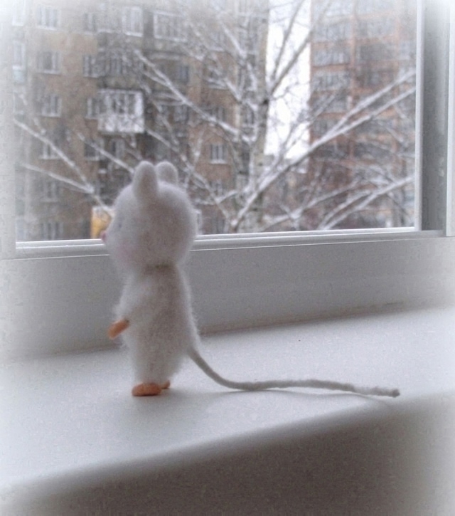 Ноябрьские раздумья белой мышки...