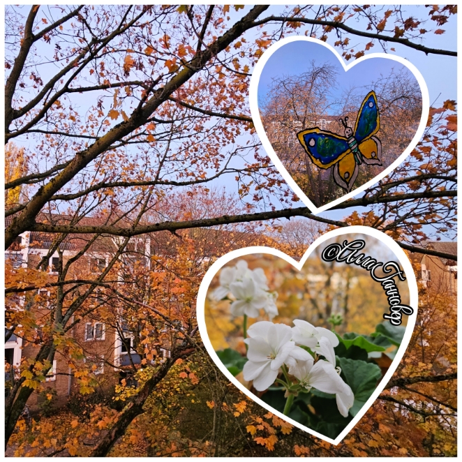 Встречая ноябрь