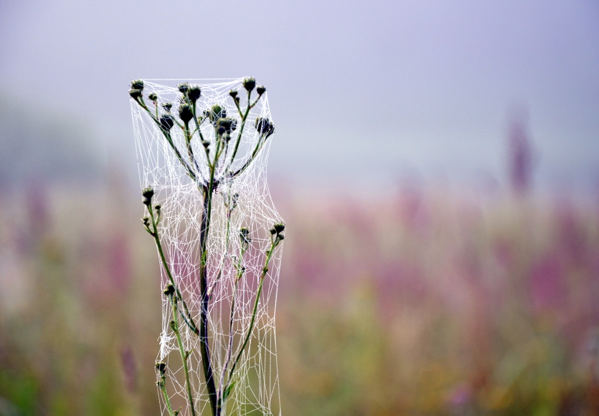 Многоточие... - 2025, октябрь
