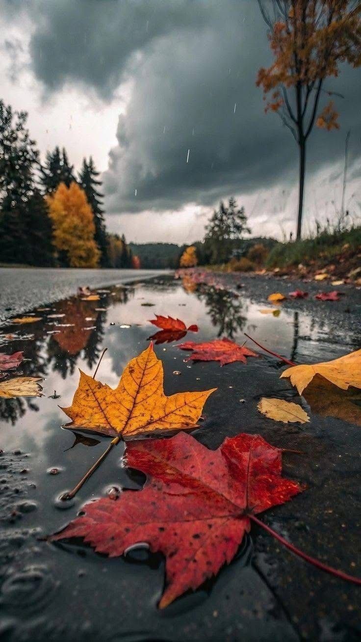 Высуши, небо, слёзы