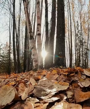 Кончалась осень