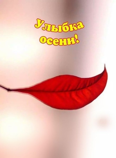 Ноябрь на посту!