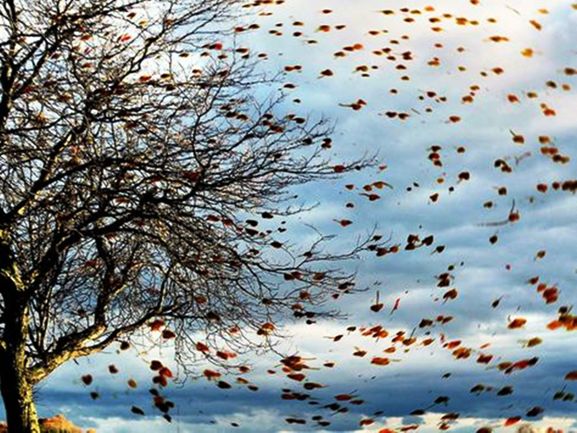 Ноябрь. Предзимье