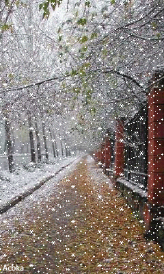 Возможно. Сонет