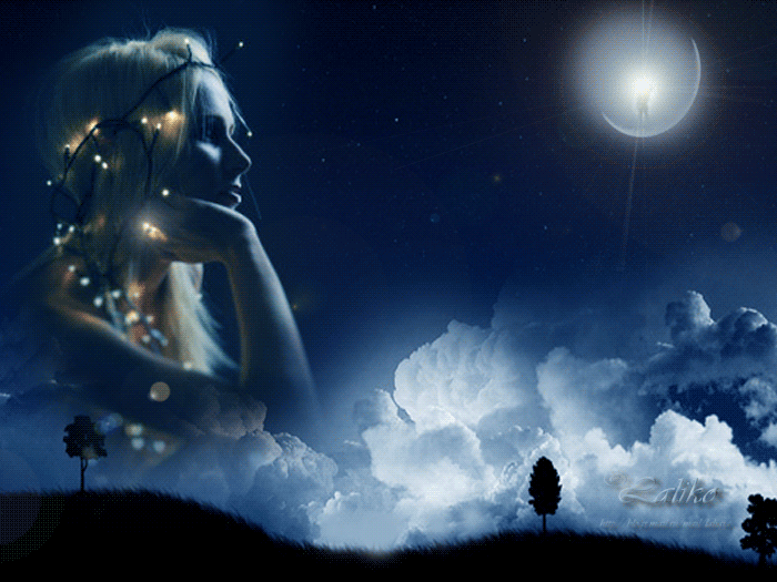 Безмолвие, тишина укрылась шалью лунной