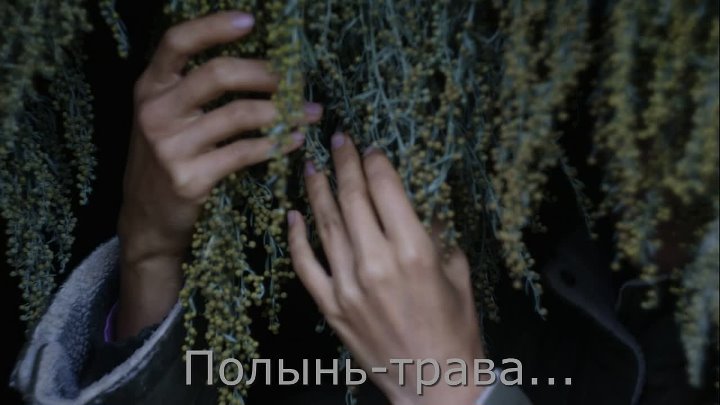 Горько-сладкая полынь