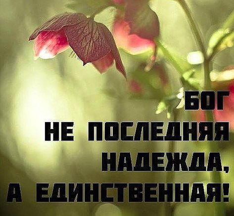 Надежда на Бога