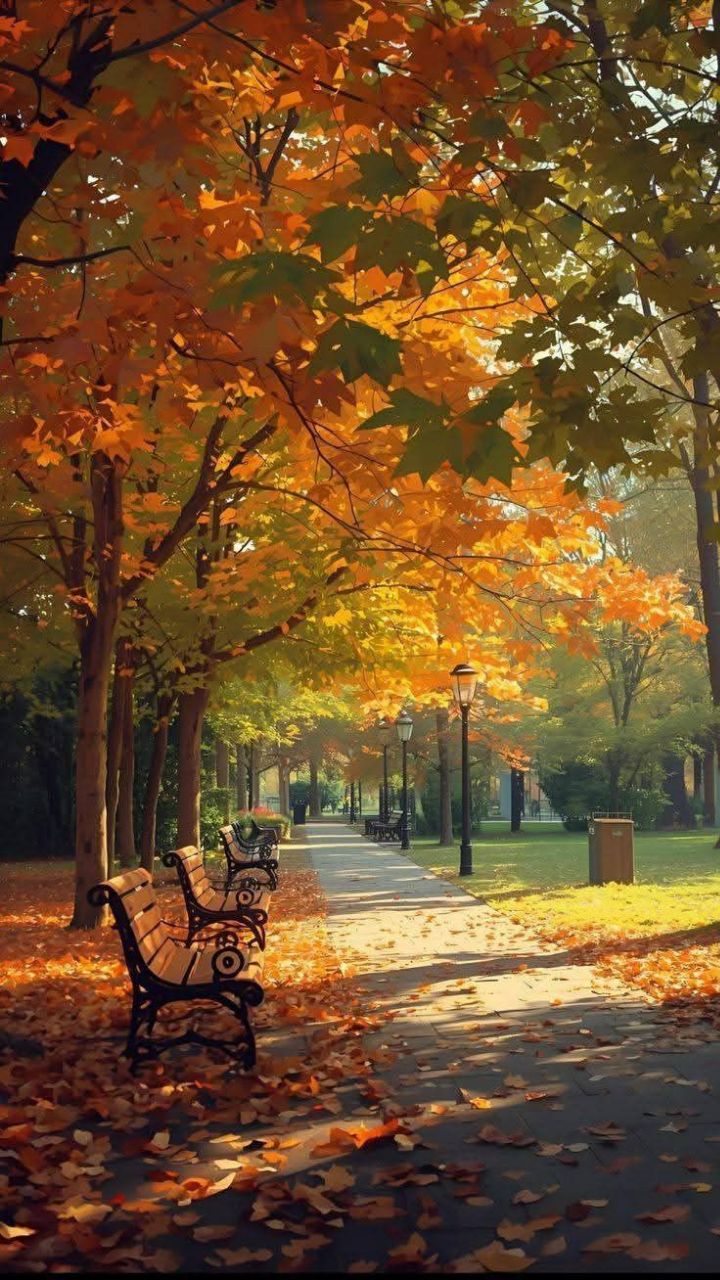 Ноябрь впереди