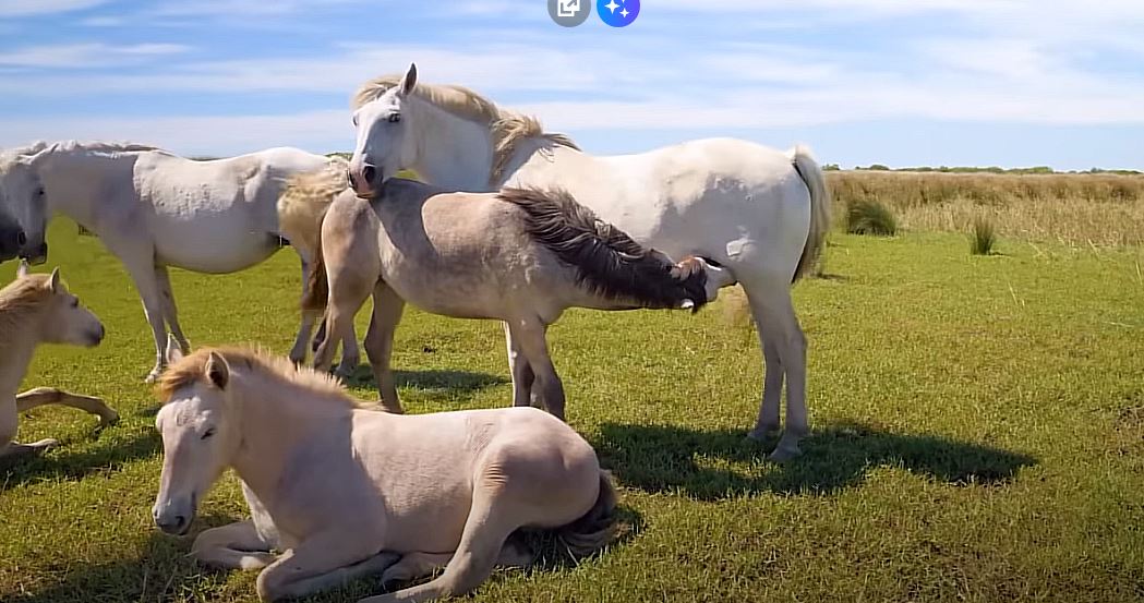 От ек дыхаем воздухам!