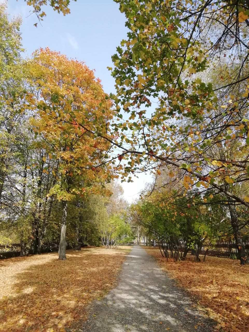 Бег на месте