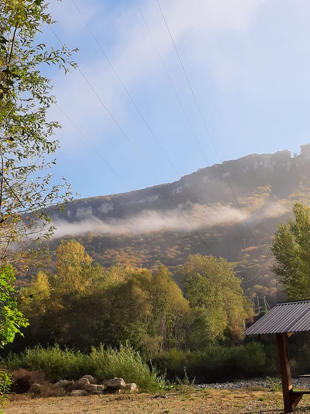 Вальс листопада