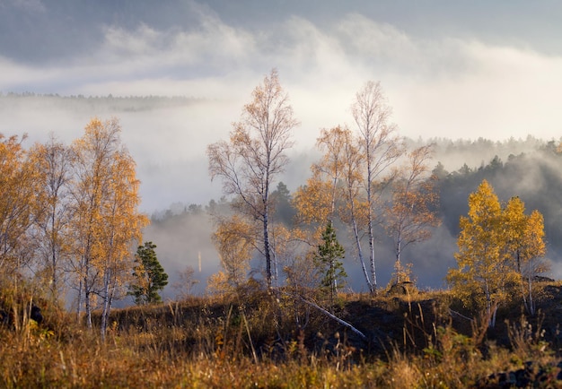 Следы осени